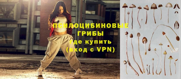экстази Каменка