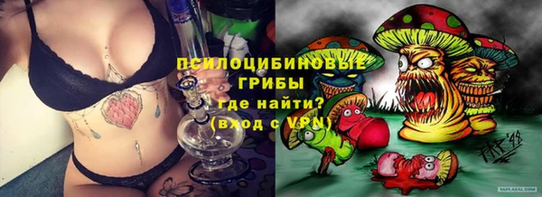 экстази Каменка