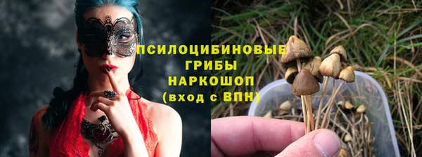 экстази Каменка